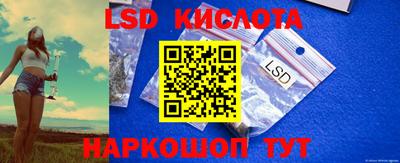 шишки Донской