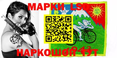 шишки Донской