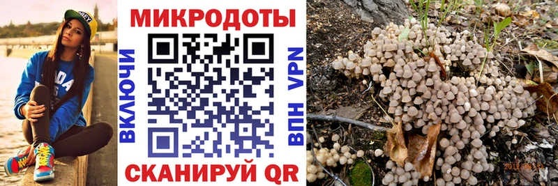 Псилоцибиновые грибы Cubensis Назрань