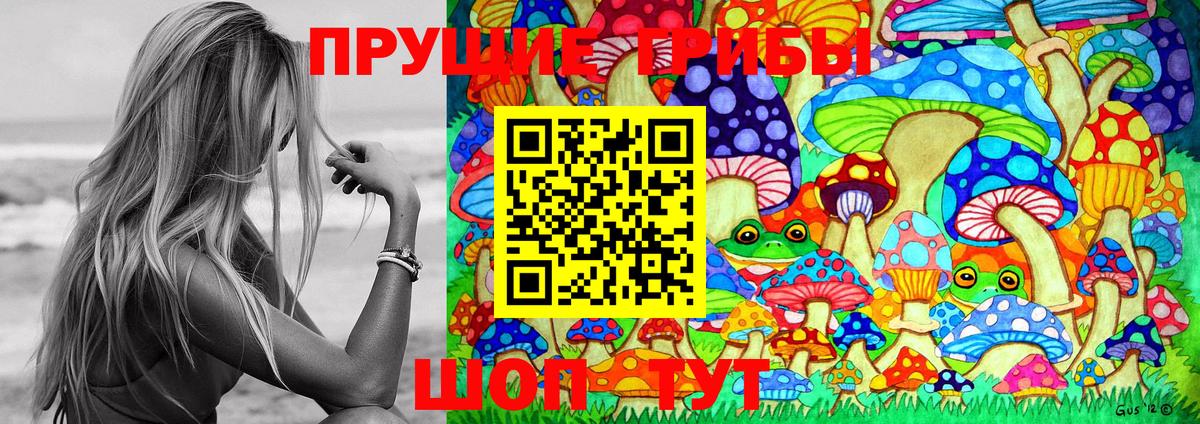 Псилоцибиновые грибы Cubensis  Вход с VPN  хочу   Псилоцибиновые грибы Cubensis  Назрань 